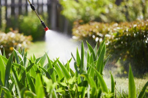 24/7 Emergency Ant Control experts in Pekin, IL